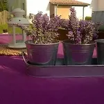 Ivana Apartman *