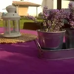 Apartman Ivana *