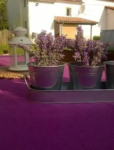 Villa Ivana Appartement *